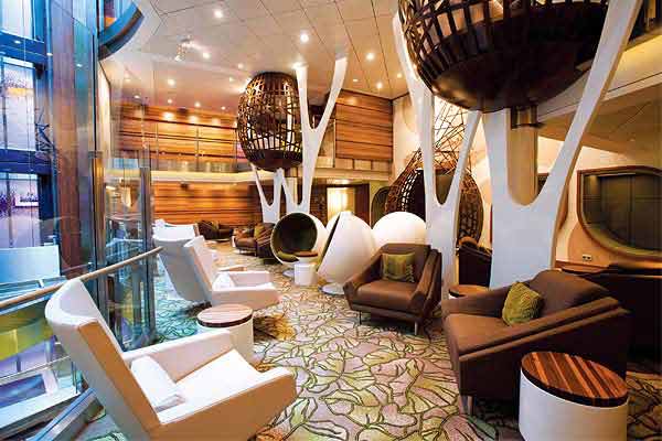 Celebrity Reflection