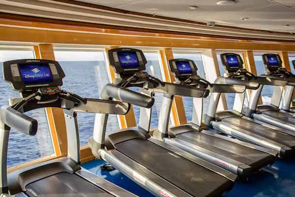 Disney Fantasy