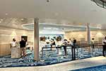 Icon of the Seas