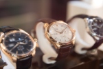 Seven Seas Navigator