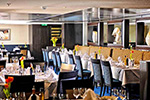 Avalon Visionary