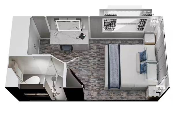 Solo Oceanview Stateroom