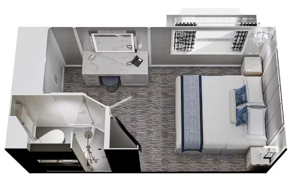 Solo Oceanview Stateroom