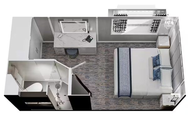 Solo Oceanview Stateroom