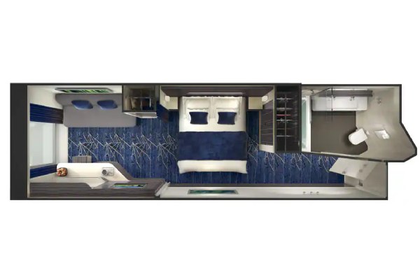 Solo Oceanview Stateroom