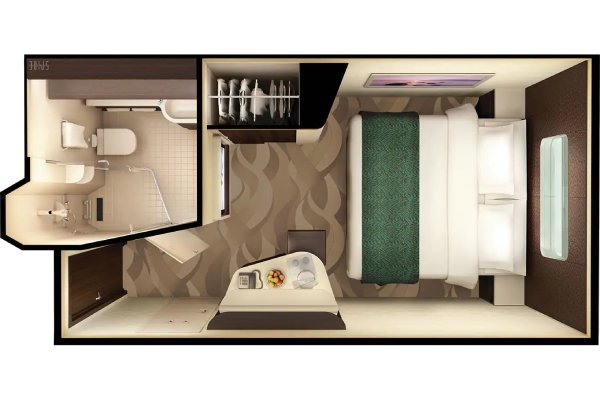 Solo Oceanview Stateroom
